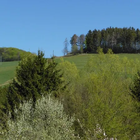 In Heringhausen Mit Grill *